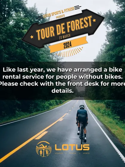Moments from our Tour de Forest, showcasing our members cycling through city streets and forest paths, wearing their exclusive event jerseys and enjoying the ride.