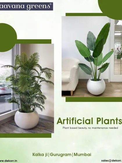 Plant-based beauty, no maintenance needed. We offer a wide range of large potted plants, like this Areca Palm and Traveller's Palm, to fill any corner with lush greenery.