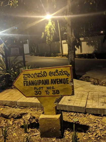 A hand-painted sign for 'Frangipani Avenue' in old Whitefield. The lanes here are named after flowers and trees, and cycling through them is a peaceful, magical experience.