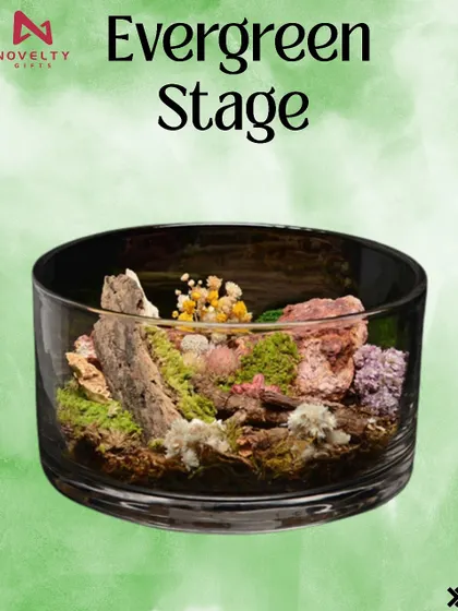 The 'Evergreen Stage' terrarium. This wide, cylindrical glass offers a panoramic view of a beautiful, maintenance-free miniature landscape.