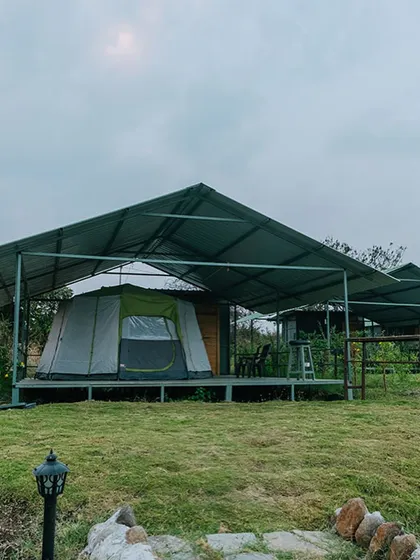 A look at our elevated tent setup. The sturdy platform and overhead cover provide extra protection from the elements, ensuring a comfortable "glamping" experience.