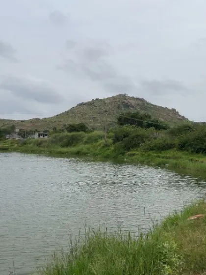 The calm waters of the lake reflect the gentle slope of the nearby hill. This is a common sight during nature walks, offering a moment to pause and appreciate the profound stillness of the landscape.
