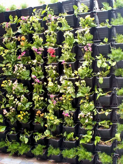 Another angle of the driveway garden, showing the mix of colorful flowering plants. This installation proves that any wall can become a source of beauty and joy.