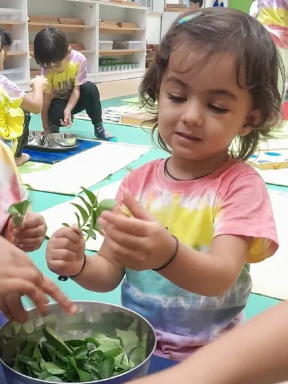 Each activity, from making Bhel Puri and toast to plucking methi leaves and exploring what floats, is a lesson in itself. These practical life and sensorial activities are central to the Montessori method, helping children develop fine motor skills, concentration, and a deep understanding of the world through their own actions.