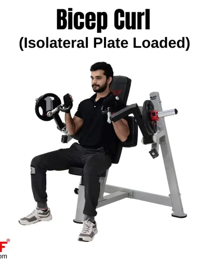 A user performing a standard dual-arm curl on our plate-loaded bicep machine.