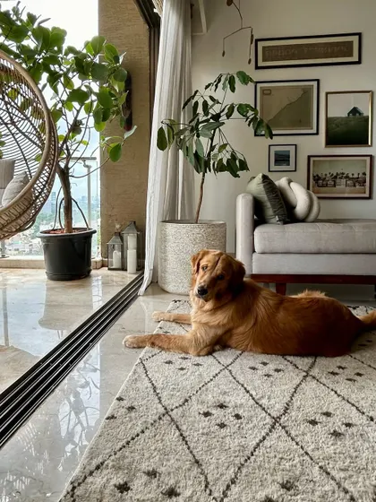 It's been over a year since we brought this new member into our family. I'm proud we survived a home with white walls and an off-white rug, and I think I'm ready to reimagine this space again.