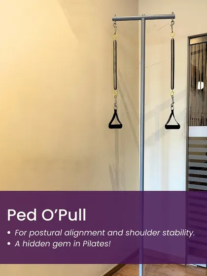 The Ped O'Pull is a hidden gem in Pilates. This apparatus is excellent for teaching postural alignment and shoulder stability.
