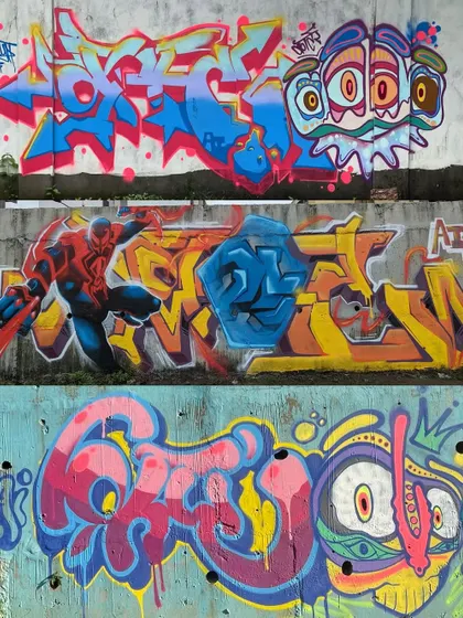 A compilation of my Devnagri expeditions. This shows the variety, from wildstyle and character pieces to quick throw-ups. It's all part of the same journey.