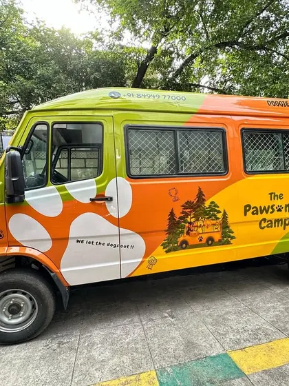 Our "Pup Express" is ready to roll. This colorful, custom-fitted van is the first of its kind, designed for safe and happy dog transport.