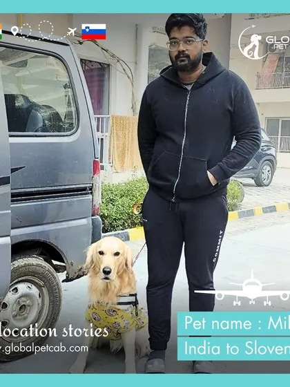 Mike, a Golden Retriever, poses with his owner before starting his relocation from India to Slovenia. We begin every journey with a personal consultation to ensure all needs are met.