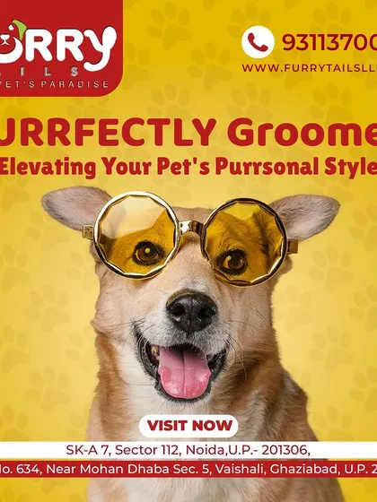 Let us elevate your pet's personal style. Our "Purrfectly Groomed" services ensure your pet looks cool, feels great, and is ready to turn heads.