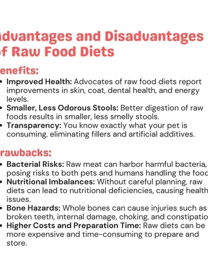 Raw food diets have reported benefits like improved coat health, but they also come with drawbacks like bacterial risks and nutritional imbalances. It's important to weigh the pros and cons carefully.