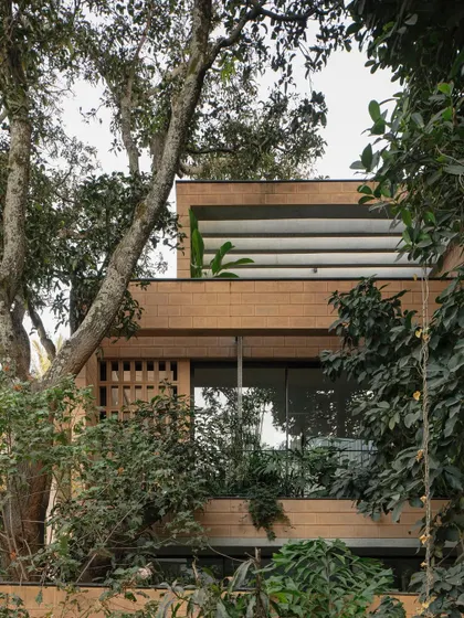 (Duplicate of 60) The house is designed to embrace the existing trees on the site, with windows and balconies framing views of the surrounding canopy.