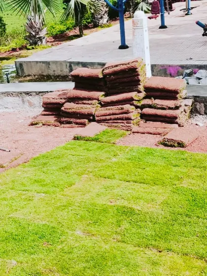 Stacks of Mexican grass rolls ready to be laid for a park renovation project.