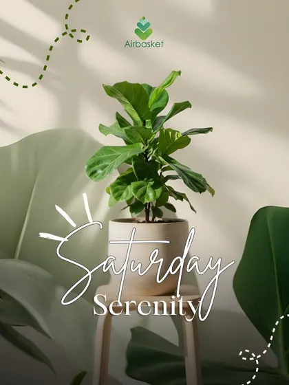 Saturday serenity, powered by fresh greens. Weekends are for slowing down, breathing deep, and enjoying calm moments in your favorite green corner.