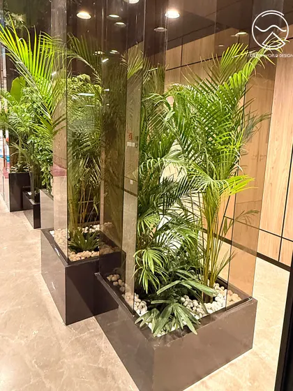 A detailed shot of our planter design for The Executive Centre, Hyderabad. The use of Areca Palms and other species in sleek, modern containers reflects the premium quality of the workspace.