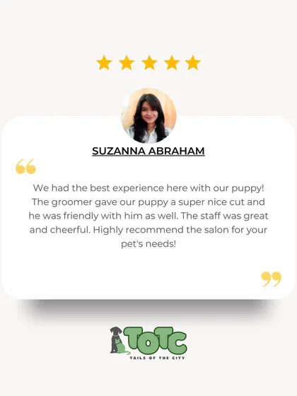 Thank you, Suzanna! We're so happy to hear that your puppy had the best experience with our cheerful staff and friendly groomer. We can't wait to see you again.