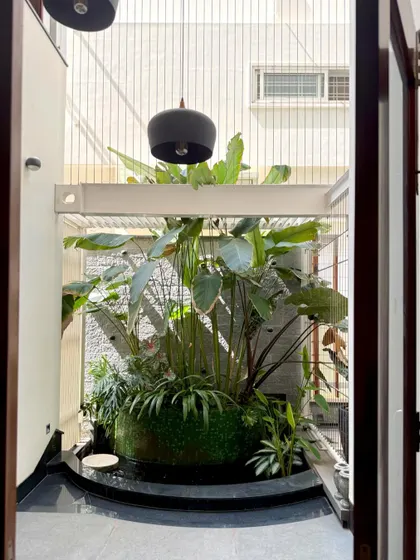 A glimpse into an indoor oasis we designed, featuring a custom water body that can serve as a koi pond. The space is filled with large-leafed tropical plants like Calathea Lutea, creating a serene and humid microclimate indoors.