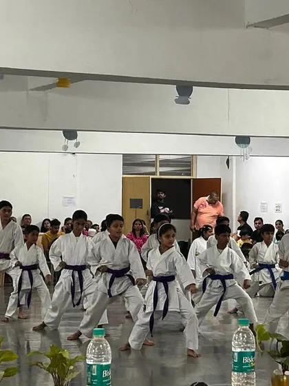 Students performing their Kata in unison for the examiners and parents. Group performance is a key part of our belt tests, emphasizing synchronization and spirit.