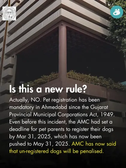 Is this a new rule? We clarify that pet registration has been mandatory in Ahmedabad since 1949 and explain the updated deadlines and penalties for non-compliance.
