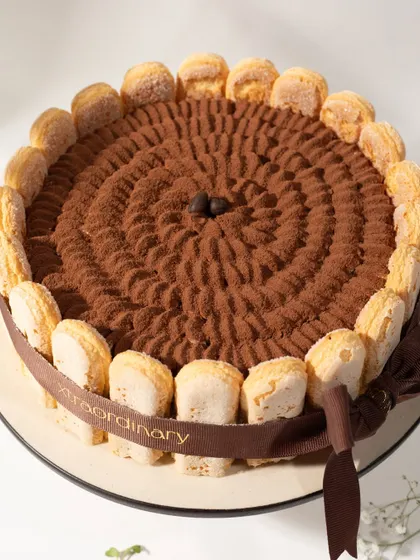 A close-up, top-down view of the beautiful cocoa powder pattern on our Tiramisu.