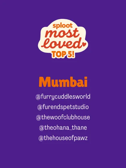 And the winners for Mumbai are in! Here are the Top 5 most loved dog boarding homes in the city, voted for by local dog parents who have experienced their care firsthand.
