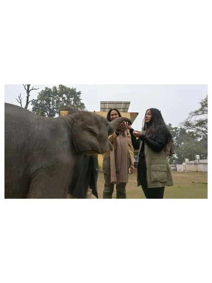 Meeting Gauri, a baby elephant rescued after being separated from her herd. Moments like these are pure connection, a quiet understanding that goes beyond words. This is the heart of why I do what I do.