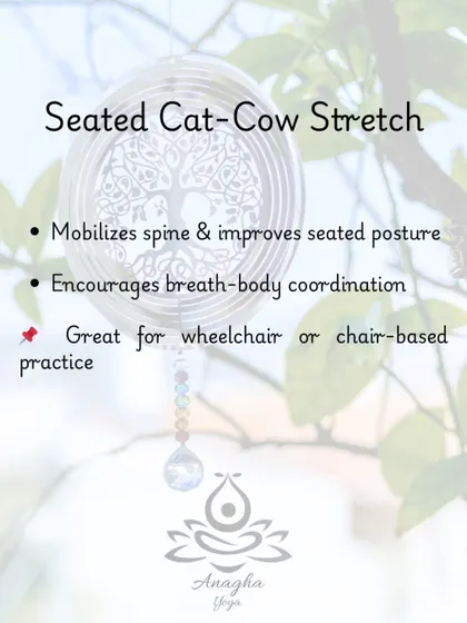 The Seated Cat-Cow stretch is a key part of my chair-based yoga practice for stroke recovery, as it mobilizes the spine and encourages breath-body coordination.