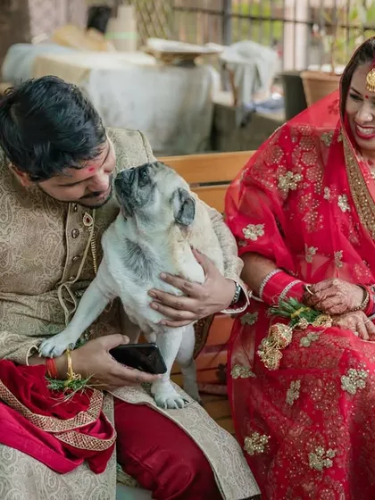 A quiet moment with a furry family member. The couple shares a sweet interaction with their pug, who seems to be giving the groom a kiss.