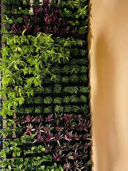 A simple yet effective vertical garden design using horizontal rows of different plant types, creating clear bands of color and texture.