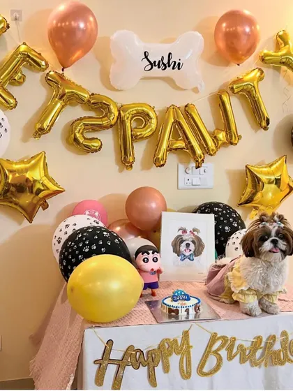 Sushi the Shih Tzu looking absolutely adorable at her birthday party. Our cakes and party packages help create these picture-perfect moments.