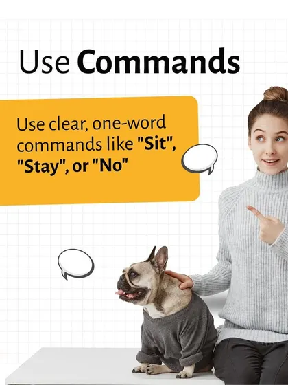Clear and consistent commands are the foundation of good training. We advise using simple, one-word cues like "Sit" or "Stay" to avoid confusing your pet and ensure they understand your expectations.
