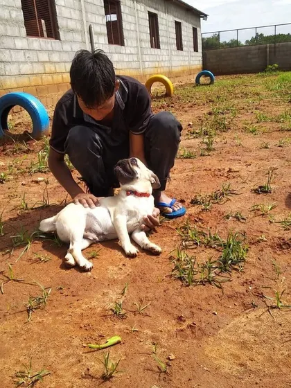 A clean pup is a happy pup. After his grooming session, this little Pug is enjoying some relaxing one-on-one time with our staff in the open play area. We believe a stress-free environment is just as important as the groom itself.