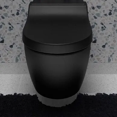 The bold, all-black toilet fixture against the terrazzo wall creates a strong monochromatic statement. This minimalist choice is both modern and highly stylized for a unique powder room design.