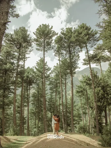 A wide shot of the couple surrounded by towering pine trees. The vertical composition emphasizes the majesty of nature and the intimacy of the couple within it.