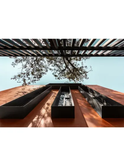 The interplay between the building's sharp geometry and the organic form of the tree's branches. This image captures the core concept of the project: a dialogue between the built and the natural.