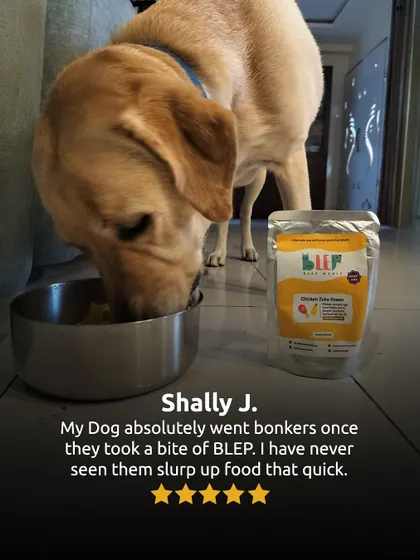 "My Dog absolutely went bonkers... I have never seen them slurp up food that quick." This is the kind of review that makes our day.