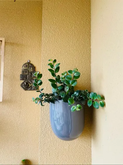 A close-up of the organized balcony. Using a simple grey wall planter adds a modern touch and draws the eye upward, making the space feel larger and more intentionally designed.