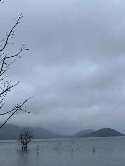 The stark beauty of submerged trees against a cloudy sky at Vani Vilas Sagar during the monsoon season.