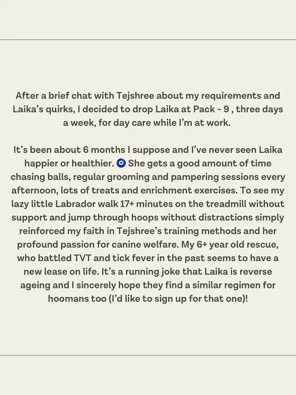 A review from Laika's guardian, who says her 6+ year old rescue has a new lease on life thanks to our daycare and training methods.