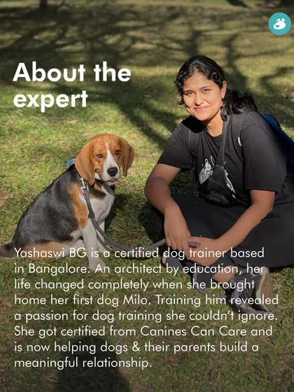 Meet Yashaswi, the expert leading this Pack Walk. Her goal is to help you and your dog build a more meaningful relationship through shared activities.