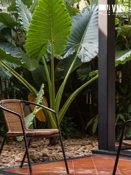 A quiet seating nook in the courtyard of Kuttiyil House, surrounded by large tropical plants. This space is perfect for enjoying the outdoors within the privacy of the home.