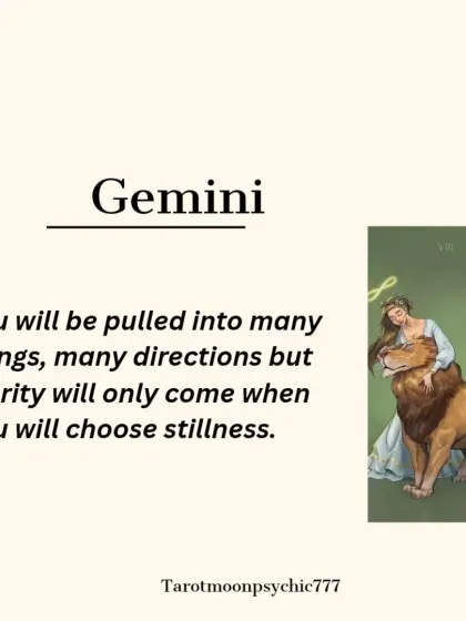 A Lionsgate Portal message for Gemini. You will be pulled in many directions, but clarity will only come when you choose stillness.