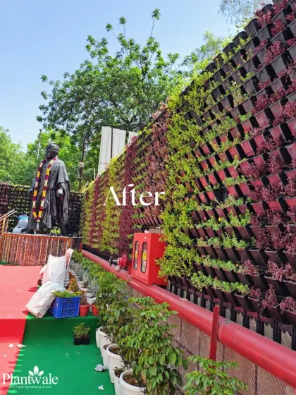 Another perspective of our outdoor vertical garden installation, showing how it integrates with the surrounding environment and architecture to create a cohesive and impressive green feature.