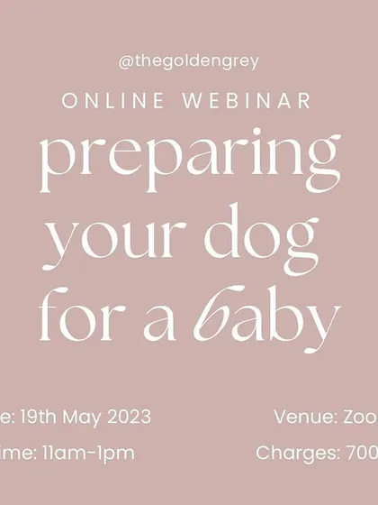 This webinar is designed to give expecting parents the confidence and tools they need. Learn how to manage the transition of bringing a baby home to your dog in this live, interactive session.