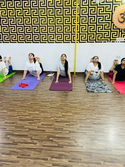 A group of women practicing Cobra Pose, a great backbend for strengthening the spine and opening the chest.