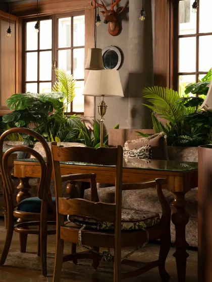 We filled Echoes with lush indoor plants to enhance the connection to nature. Paired with vintage-style furniture and warm lighting, the greenery adds life and softness to the rustic interior, making the space feel like a hidden garden.