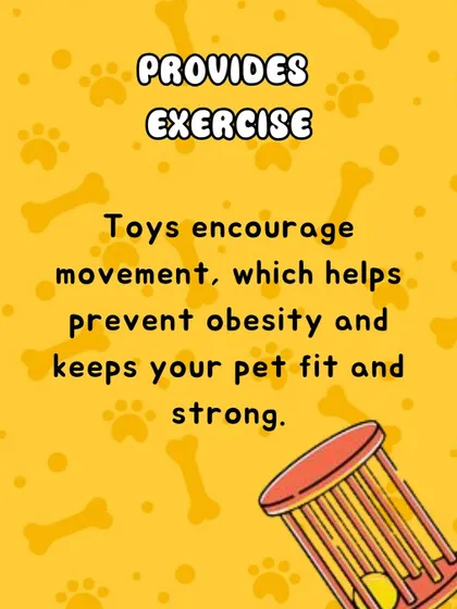 Many pets don't get enough physical activity, which can lead to obesity. Toys that encourage movement, like puzzle feeders or fetch toys, are a great way to ensure they get the exercise they need to stay fit and strong.