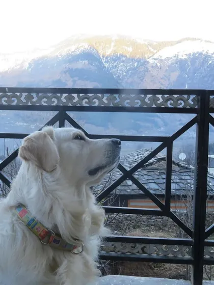 Throwback photos from our Himachal trip, capturing the majestic mountain views and the joy of being in nature.