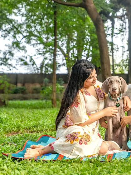 A pregnant woman sits on a picnic blanket in a park, petting her adorable Weimaraner puppy.